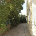 Villa Elina Villa Paphos